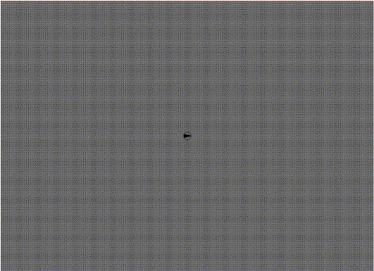 Occupancy Grid SLAM